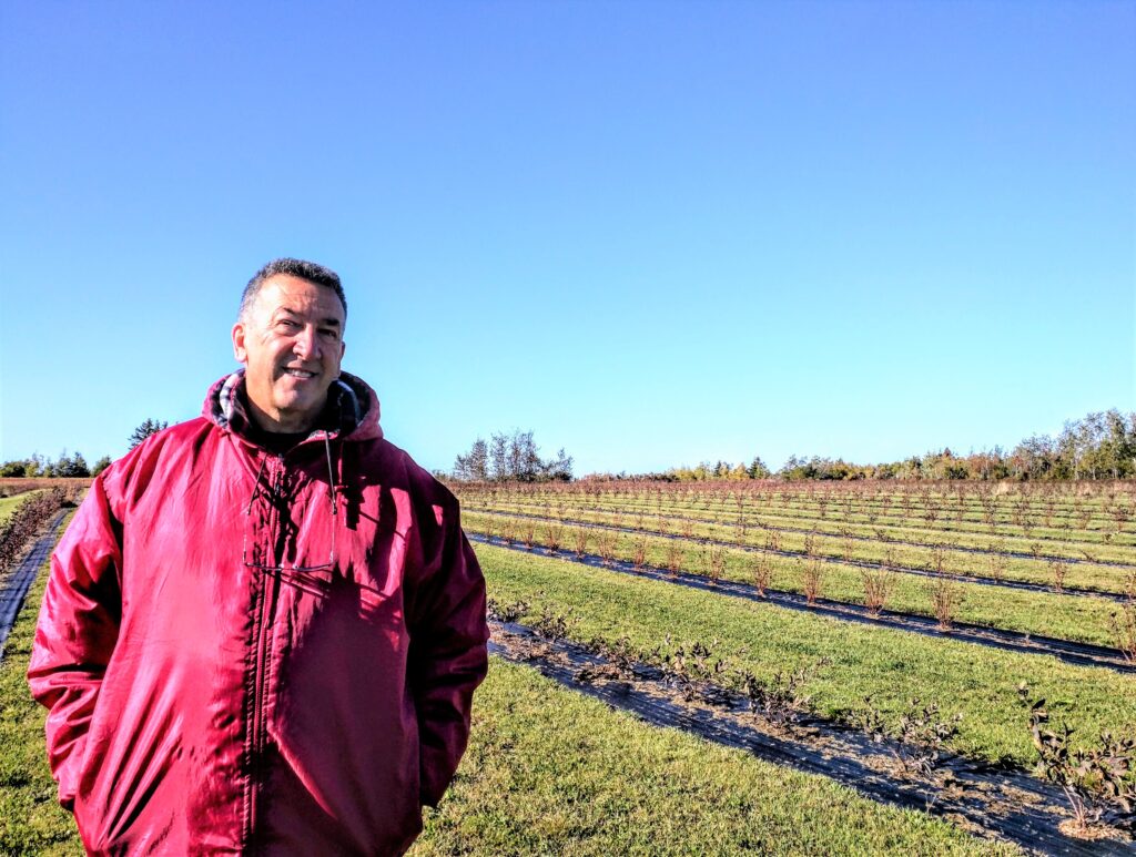 Paul Laplante est désormais un producteur de camerise de l’île Lamèque. - Acadie Nouvelle: David Caron